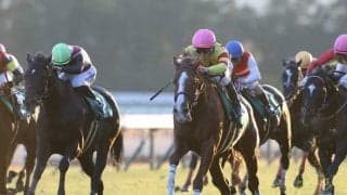 高松宮記念で評判の２頭　戦国時代のスプリント路線に終止符を打つ絶対王者は誕生するか？