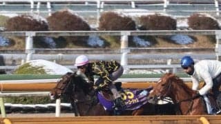 ミッキーゴージャスなど、大阪杯1週前追い切り速報/栗東トレセンニュース