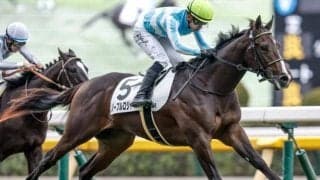 【毎日杯出走馬・騎手確定】ノーブルロジャー＆川田将雅騎手、ニュージーズ＆C.ルメール騎手など10頭