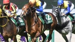 【日経賞出走馬・騎手確定】ボッケリーニ＆浜中俊騎手、マイネルウィルトス＆横山武史騎手など10頭
