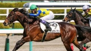 キタサンブラックの半弟が大寒桜賞に参戦 武豊騎手とのコンビで連勝狙う