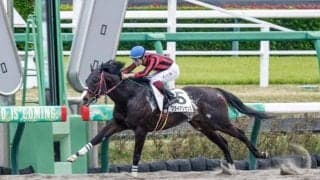 【マーチS出走馬・騎手確定】ブライアンセンス＆横山武史騎手、ウェルカムニュース＆戸崎圭太騎手など14頭