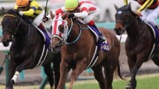 17年桜花賞馬の仔が待望のデビュー 日曜中山5Rで初勝利なるか