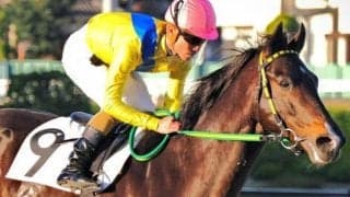 千葉ロッテ・吉井監督所有のリジン 再転入初戦でJRA初勝利なるか