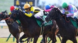 【武豊日記】これからも憧れ続けます