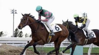 門別競馬場で今年2回目の競走能力・発走調教検査 2歳馬85頭含む90頭が受験