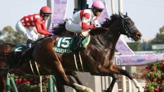 【ファルコンS】ダノンマッキンリーが重賞初制覇…ソンシは3着