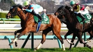 【フラワーC】ミアネーロが混戦から抜け出す…2着はホーエリート