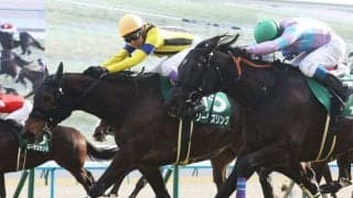 武豊騎手 今週の騎乗馬…高松宮記念はソーダズリングとのコンビ