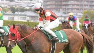 高松宮記念で期待の２頭は「ミスタープロスペクター系」 過去７年で５勝の血統