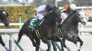 【高松宮記念枠順確定】ナムラクレアは2枠3番、ルガルは3枠6番