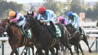 【毎日杯枠順確定】ノーブルロジャーは1枠1番、ニュージーズは8枠10番