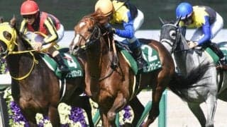 【日経賞枠順確定】ボッケリーニは8枠9番、マイネルウィルトスは5枠5番