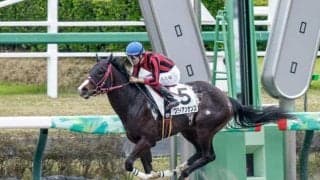 【マーチS枠順確定】ブライアンセンスは7枠12番、ウェルカムニュースは3枠4番