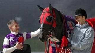 【高知・黒船賞枠順】ダートグレード競走3連勝中のサンライズホークは4枠4番
