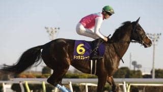 ドゥラエレーデ・ウィルソンテソーロら ドバイWCデー出走のJRA所属馬13頭が現地到着