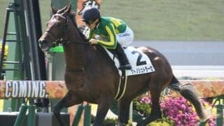 【毎日杯予想】前走1800m組が圧倒！ 前回の距離が勝敗を左右する理由