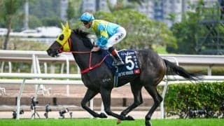 【高松宮記念】ビクターザウィナーは芝コースで調整 K.リョン騎手「環境にも順応している」