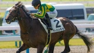 土曜阪神は雨予報 毎日杯は道悪実績を重視だ