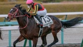 リアルスティール＆ラヴズオンリーユーの半弟 超良血馬が3勝目狙う
