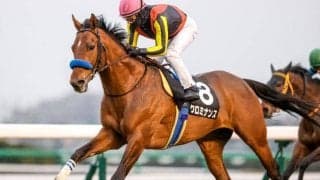 【日経賞予想】良績を残す4歳馬が不在で混戦ムード！ 7歳以上の馬に求められる好走条件とは