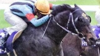 過去10年で良馬場は3度…今年はどうなる？　馬場状態で好走枠が一変する高松宮記念