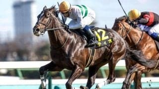 【ダービー卿CT想定馬・騎手】ディオ、パラレルヴィジョンなど15頭