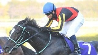 【桜花賞想定馬・騎手】アスコリピチェーノ、スウィープフィートなど20頭