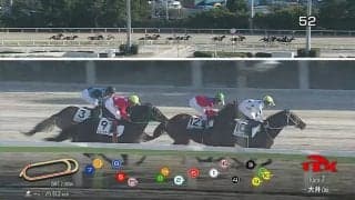 【TCK】2024年度事業計画…「3歳ダート三冠競走」がいよいよ幕開け！トラッキングシステムの導入や競馬場施設の改修を実施など