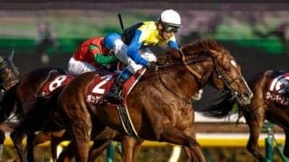 【今日の注目ポイント】中山で日経賞と阪神で毎日杯の2重賞