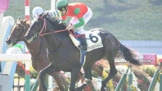 【日経賞予想】トリッキーだが強い馬に有利な舞台 過去10年の勝ち馬はすべて4番人気以内