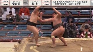 19歳規格外力士、デビューからの連勝「20」でストップ 館内にどよめき