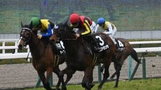 【君子蘭賞結果】ミエスペランサが直線一気を決めて無傷の2連勝