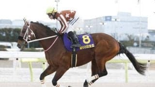 【佐賀競馬】今年は好メンバー集うはがくれ大賞典 過去勝ち馬0の最内枠で勝利なるか