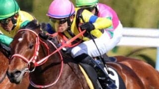 母は桜花賞馬マルセリーナ 良血馬が日曜中山10Rで連勝狙う
