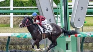 【マーチS前日オッズ】ブライアンセンスが3.1倍で1番人気