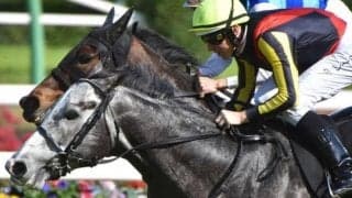 中京芝は乾いて内枠有利？ 絶好2番枠のマッドクールが狙い目だ