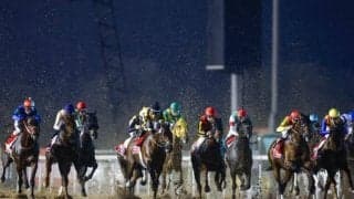 ドバイWCはグリーンチャンネルや地上波で生中継 ドバイワールドカップデーの放送予定が発表