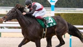 霜降り明星・粗品は高松宮記念で3連単40点勝負 「正直全く分かりません」