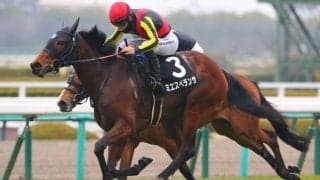 【君子蘭賞】良血ミエスペランサがデビュー2連勝