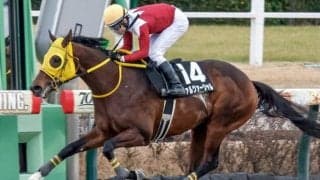 【マーチS予想】1番人気＆トップハンデが不振 難解なダートのハンデキャップ戦