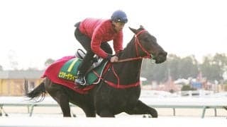 激戦の高松宮記念「スプリント王国」からやって来た刺客は本当に強いのか？