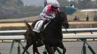 高松宮記念当日の中京芝は道悪 内-中枠の逃げ先行馬が狙い目だ