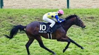 【大寒桜賞】キタサンブラック半弟・シュガークンが連勝