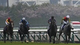 【JRA・WIN5】本日のWIN5は的中84票、配当541万1710円