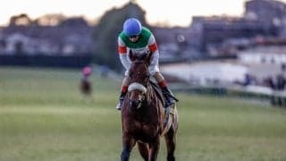 【ダービー卿CT】パラレルヴィジョン、ディオらが登録