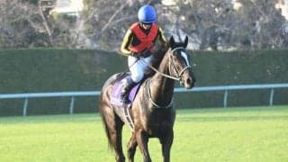 【桜花賞】アスコリピチェーノ、スウィープフィートらが登録