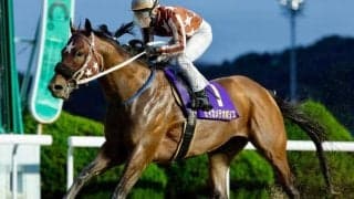 【佐賀・はがくれ大賞典結果】大井のセイカメテオポリスが人気に応えてV