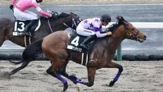 川田将雅騎手がJRA通算勝利数史上8位へ