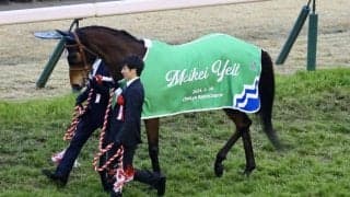 アイドルホース・メイケイエール引退式…池添謙「無事に終わって良かった」